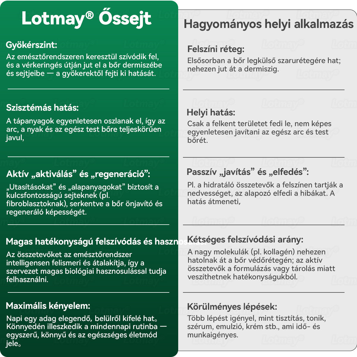 𝑳𝒐𝒕𝑚𝑎𝑦® Ő𝑠𝑠𝑒𝑗𝑡 & 𝐾𝑜𝑙𝑙𝑎𝑔é𝑛 𝑷𝒆𝒑𝒕𝒊𝒅 𝑶𝒓á𝒍𝒊𝒔 𝑪𝒔𝒆𝒑𝒑𝒆𝒌 💧(𝑭𝒆𝒔𝒛𝒆𝒔í𝒕𝒊 𝒂 𝒎𝒆𝒈𝒆𝒓𝒆𝒔𝒛𝒌𝒆𝒅𝒆𝒕𝒕 𝒃ő𝒓𝒕 & 𝑪𝒔ö𝒌𝒌𝒆𝒏𝒕𝒊 𝒂 𝒓á𝒏𝒄𝒌é𝒑𝒛ő𝒅é𝒔𝒕)❤️‍🔥🔥